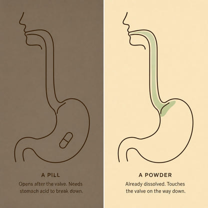 More Than Probiotics - Powder and pill